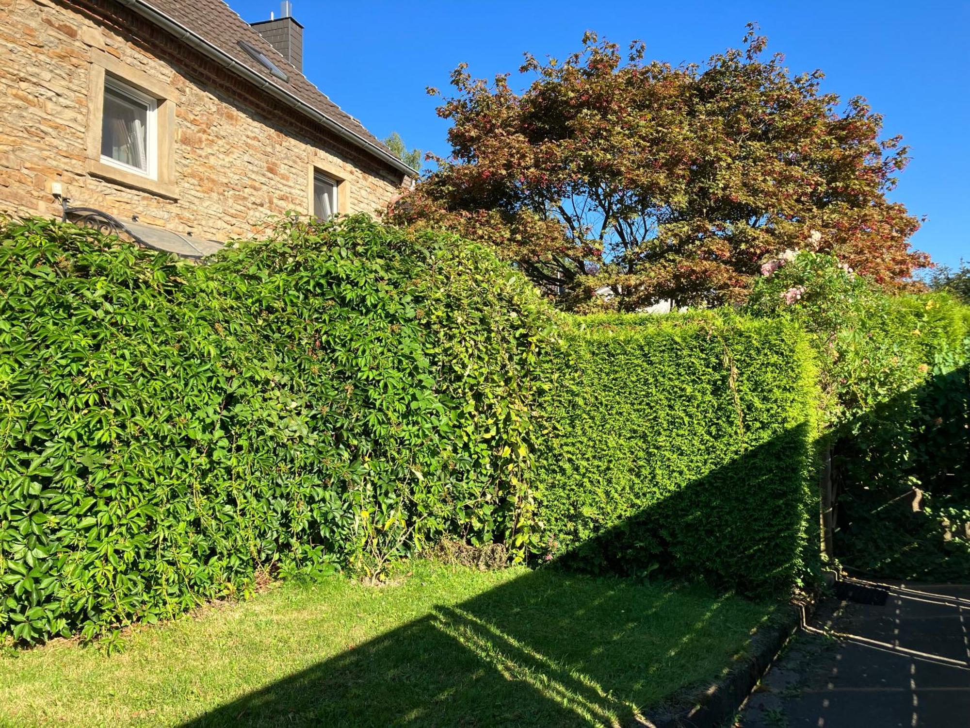 Ferienwohnung Im Gruenen Eg Mit Terrasse Хердеке Екстериор снимка